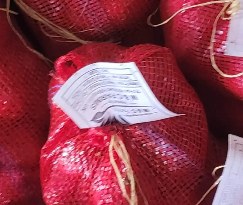 Bombay Onion Showcase 6